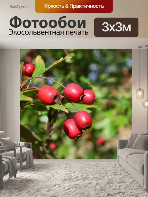 Фотообои Фрукты