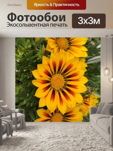 Фотообои Цветы