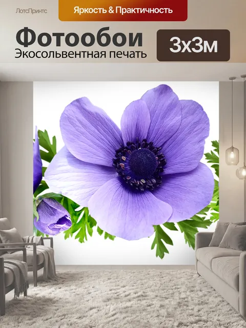 Фотообои Цветы