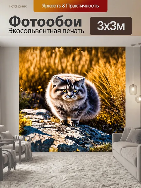 Фотообои манул, облачённый в густую, пышную шерсть, уютно устроился на каменистом плато, окружённом золотыми травами…