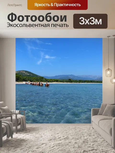 Фотообои Лошади