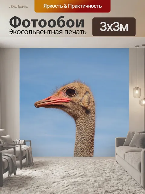 Фотообои Птица
