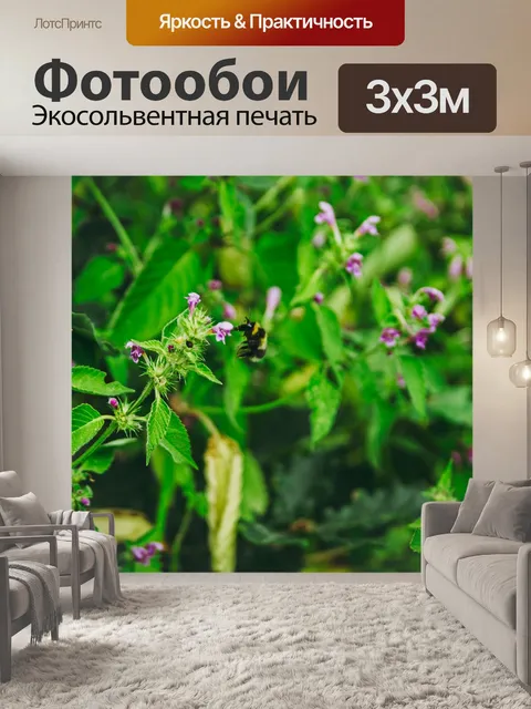 Фотообои Цветы