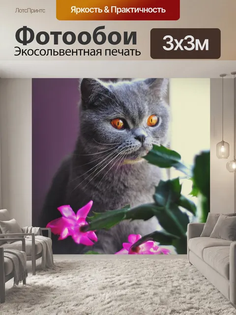 Фотообои Кошка