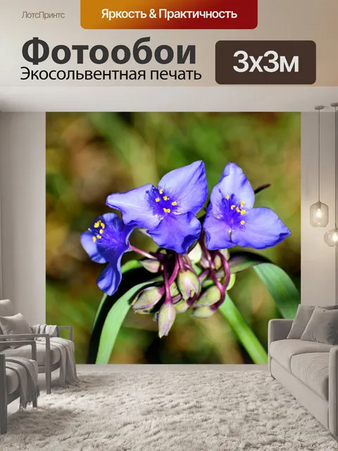 Фотообои Фон полевых цветов