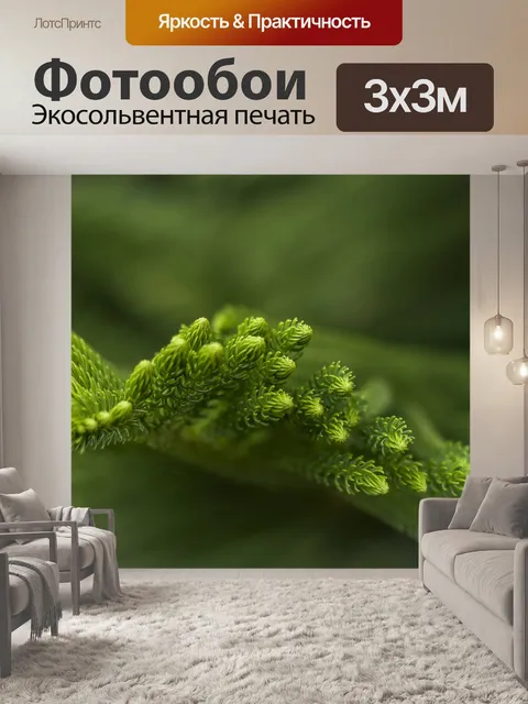 Фотообои Листья сосны