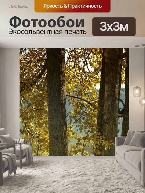 Фотообои Тополь трехгранный