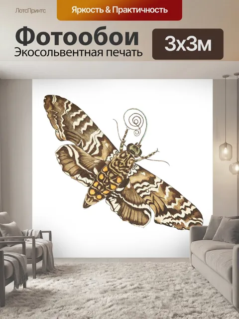 Фотообои Клипарт винтажная бабочка мотылек