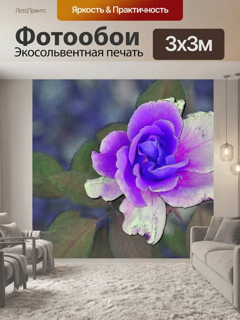Фотообои Фиолетовый Окрашенные Роза