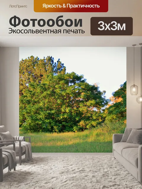 Фотообои деревья и Вельд