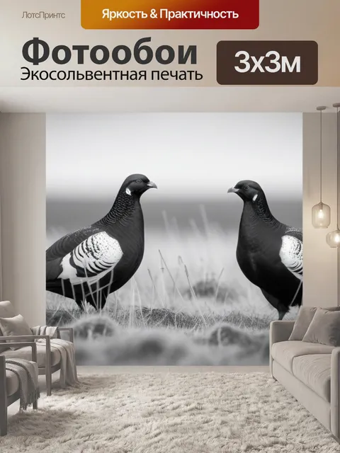 Фотообои пейзаж с тетеревами чернобелый