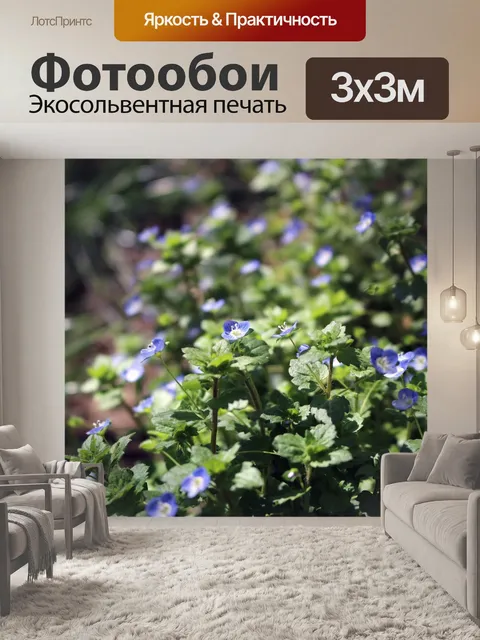 Фотообои Трава