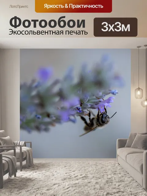 Фотообои Пчела