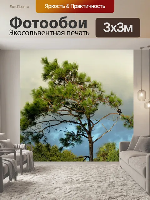Фотообои Скопа в дикой природе