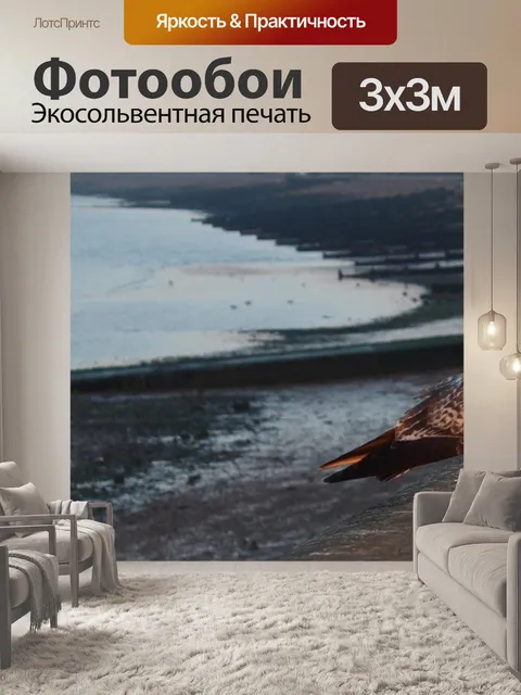 Фотообои Птица
