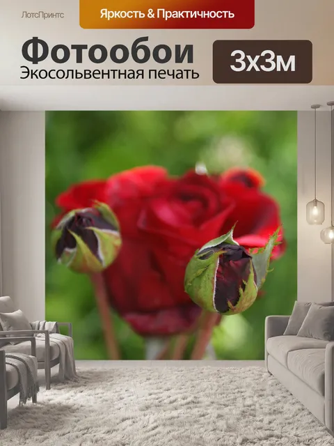 Фотообои Сад