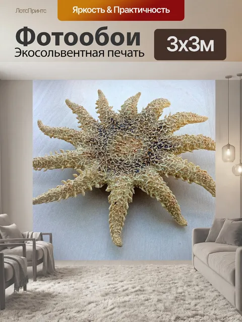 Фотообои Море