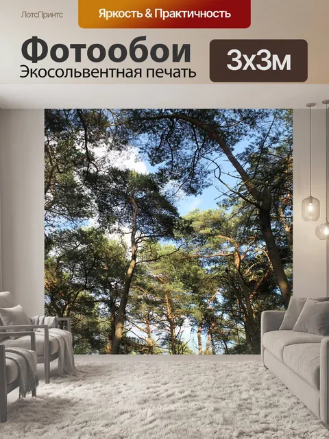 Фотообои Лес