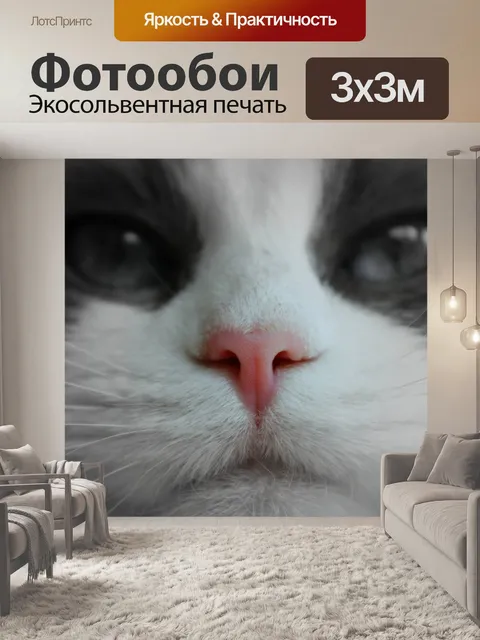 Фотообои Морда кошки