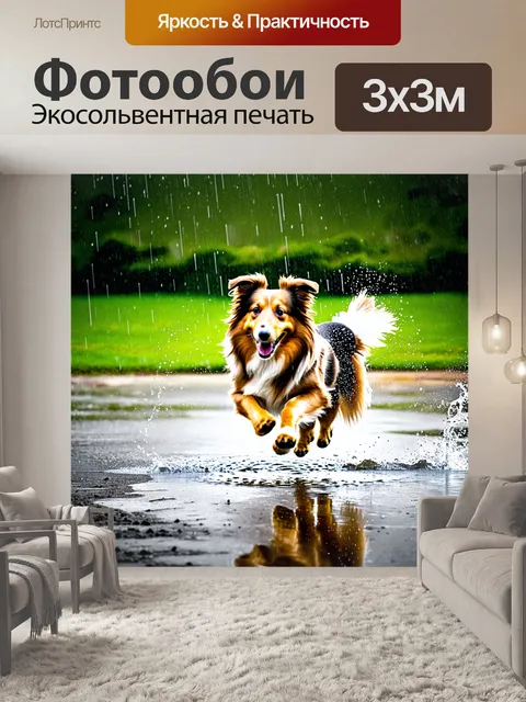 Фотообои динамичная сцена, где шелти прыгает через лужу в парке во время дождя, капли воды сверкают на фоне