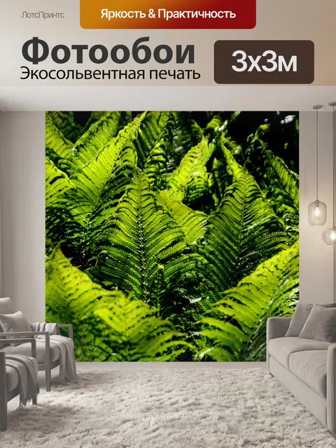 Фотообои Папоротники