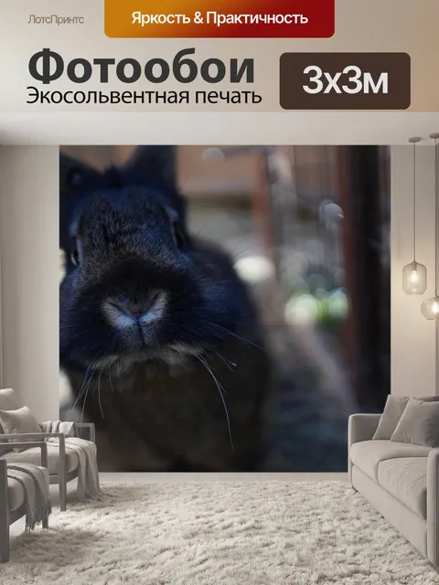 Фотообои Кролик