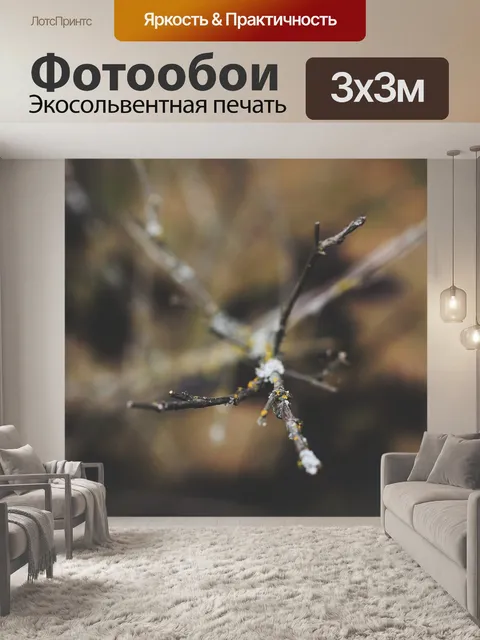 Фотообои Макро