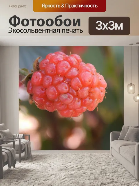 Фотообои Фрукты