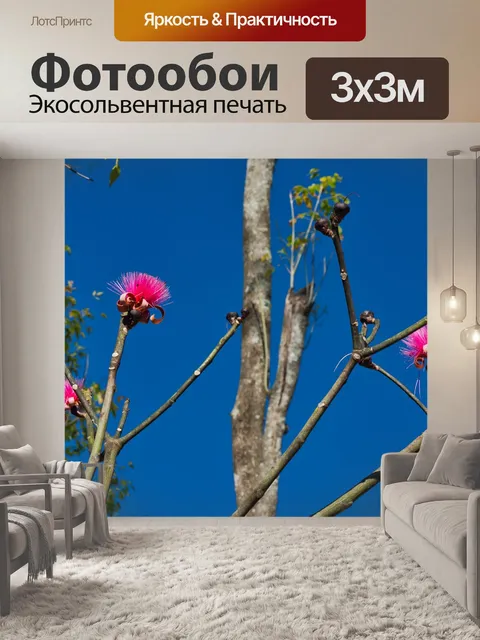 Фотообои Коста-рика