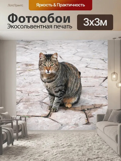 Фотообои Кошка