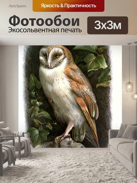 Фотообои Сарай сова птица арт винтаж