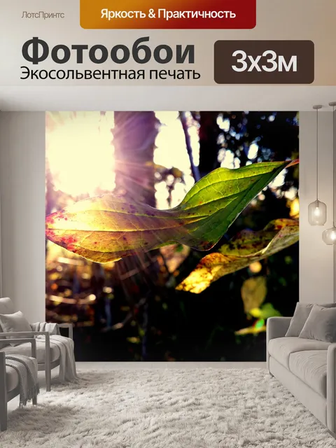 Фотообои Лес