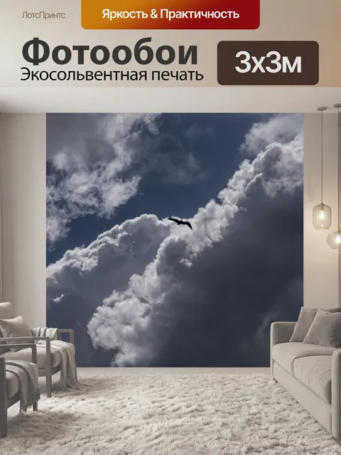Фотообои Птица летит в облаках