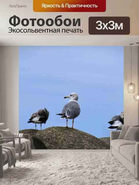 Фотообои Животное