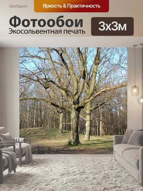 Фотообои Деревья