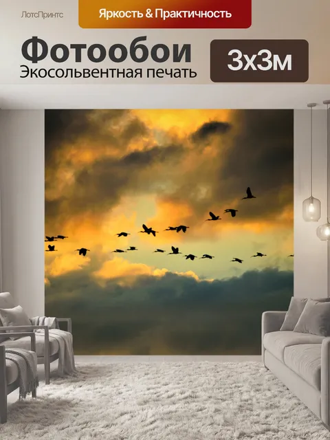 Фотообои Большие цапли в полете