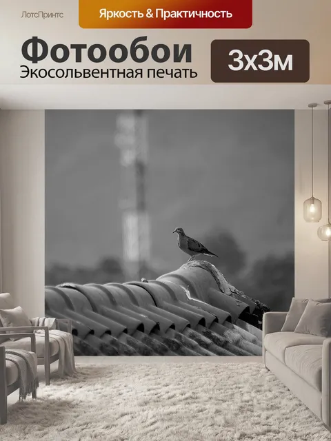 Фотообои Черное и белое