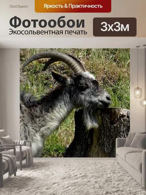 Фотообои Горная коза с зудящим подбородком