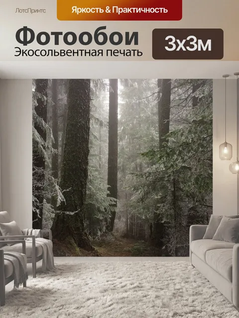 Фотообои Лес