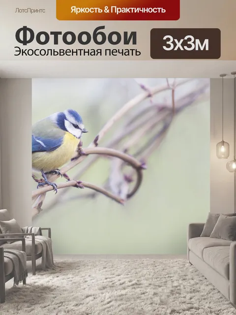 Фотообои Птица