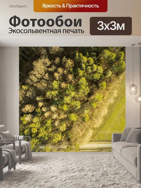 Фотообои Деревья