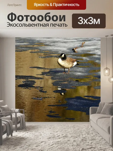 Фотообои Животные