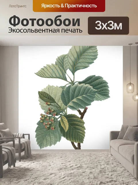 Фотообои Листья
