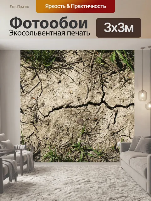 Фотообои Поля