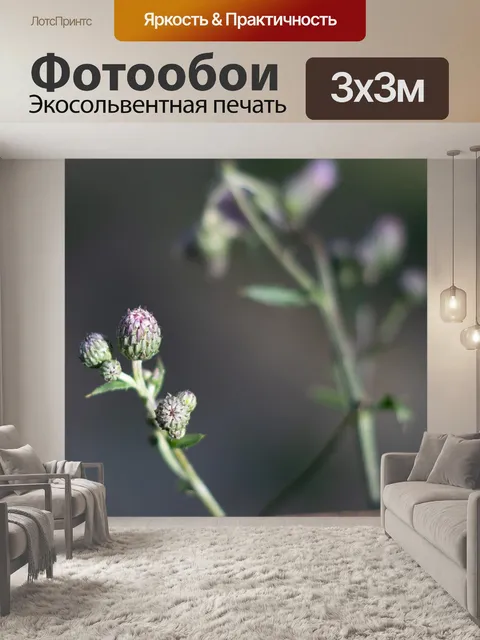 Фотообои Цветы