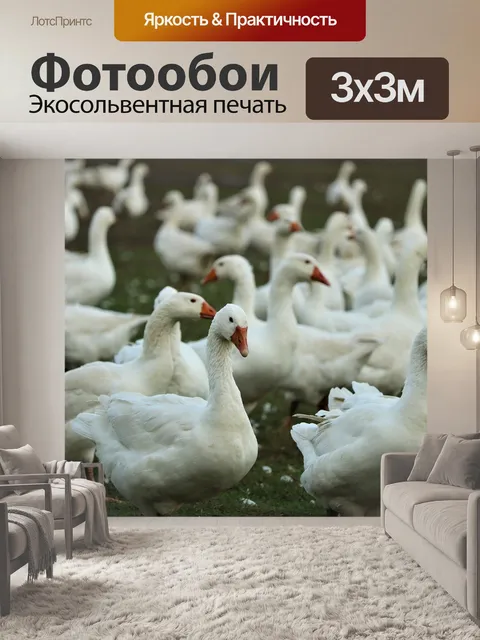 Фотообои Гуси