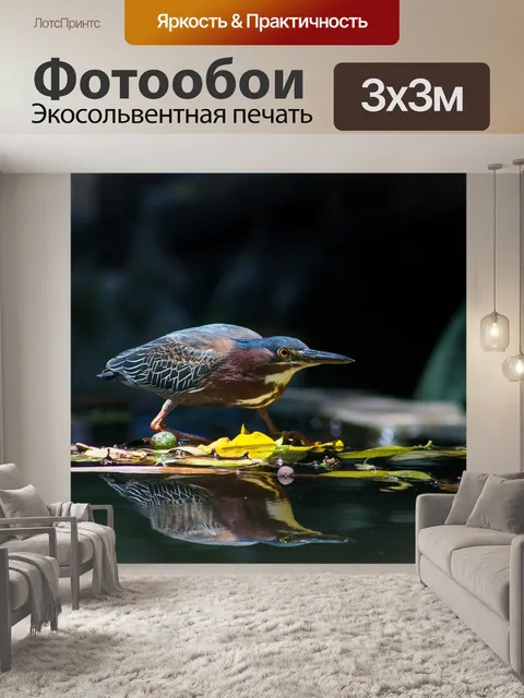 Фотообои Сальвадор