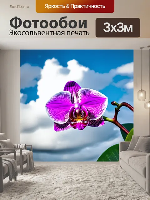 Фотообои орхидея на фоне небесных облаков, легкость и мечтательность