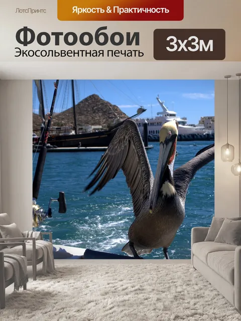 Фотообои Пеликан