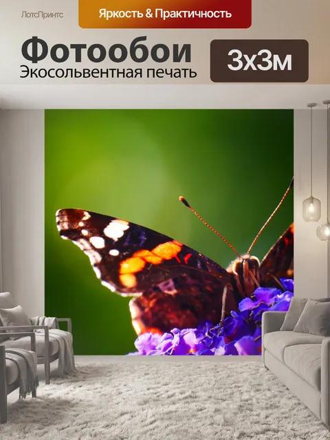 Фотообои Бабочка